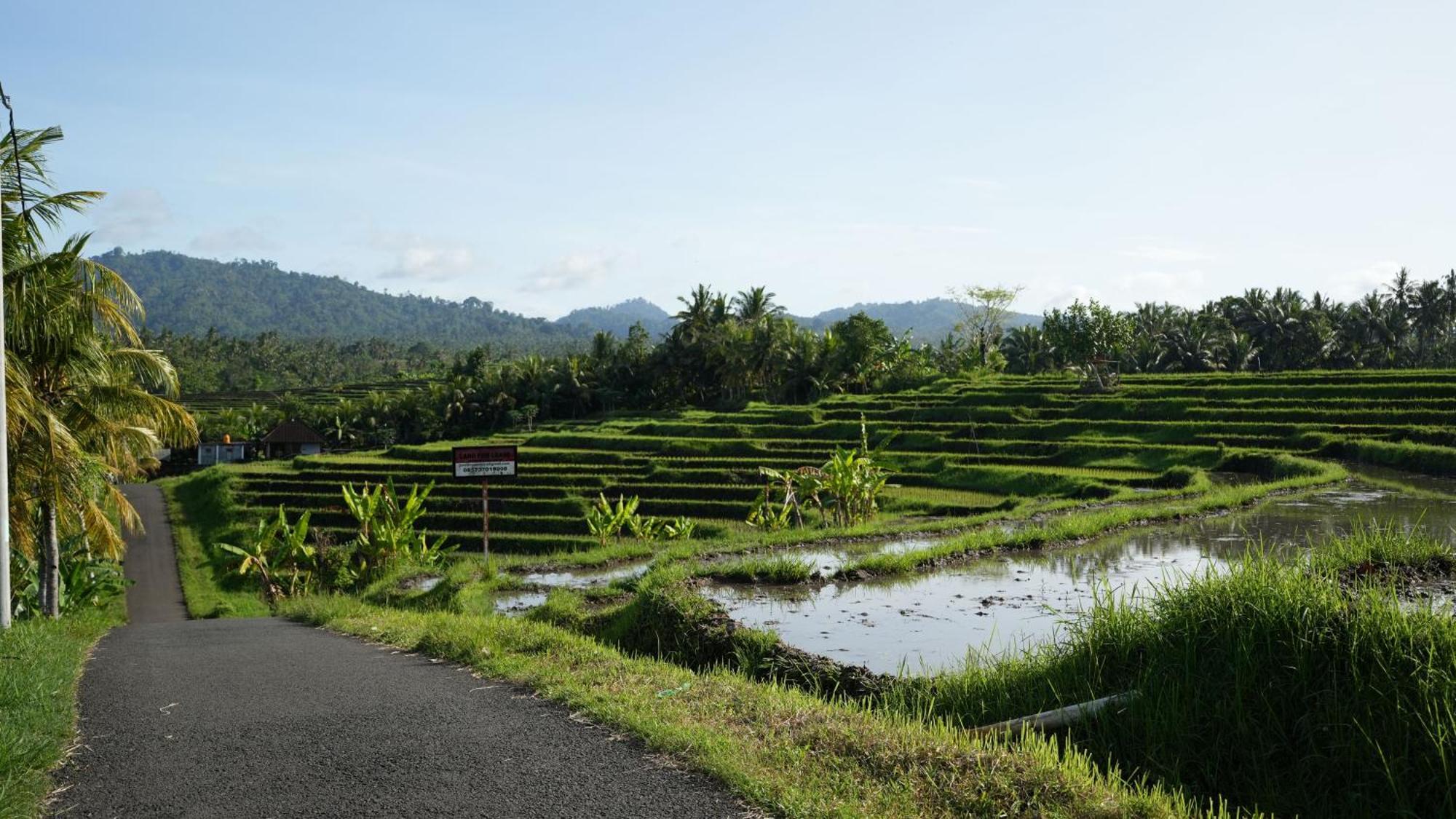 Kelapa Retreat & Spa Pulukan Exteriér fotografie